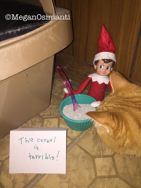 Elf On The Shelf Ideas Vet Clinic, Elf On The Shelf Ideas With Cats, Elf On The Shelf Cat Ideas, Elf On The Shelf Vet Clinic, Elf On The Shelf Cereal Ideas, Elf On The Shelf Pet Ideas, Elf Pranks, Elf 2023, Elf Shenanigans