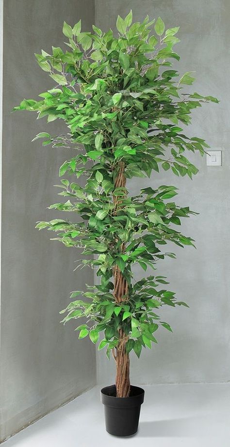 Faux Ficus Tree, Gala Decorations, Cactus House Plants, Creative Garden Decor, Fake Flower Arrangements, Plant In Pot, Fake Plants Decor, Ficus Tree, Planta Artificial