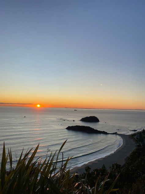 Nz Summer Aesthetic, New Zealand Summer Aesthetic, Nz Aesthetic, Summer Sun Aesthetic, Fun Squad, Nz Summer, Personality Board, Nz Beach, Holiday Friends