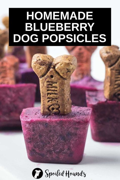 Homemade Blueberry Dog Popsicles with coconut milk. Get the easy recipe and find out how to make the best blueberry popsicles for dogs with simple ingredients. These tasty pupsicles with fresh blueberries are healthy frozen treats for dogs. Dog popsicles are great DIY frozen dog treats with fruit to make for hot summer days. #dogtreats #homemadedogtreats #diydogtreats #dogpopsicles #pupsicles Dog Popsicles Recipe Easy, Frozen Treats For Dogs, Popsicles For Dogs, Milk Bone Dog Treats, Summer Dog Treats, Dog Popsicles, Blueberry Popsicles, Dogs Things, Paw Cookies