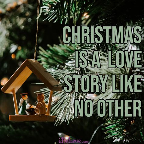 A Love Story Like No Other - iBelieve Truth: A Devotional for Women - December 17 - Daily Devotional Christmas Bible Study For Women, Christmas Devotional For Womens Group, Christmas Devotionals For Women, Christmas Bible Study, Devotional For Women, Christmas Devotional, Grow Your Faith, Christmas Bible, Jesus Stories