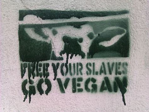 Free Your Slaves Vegan Activism, Activism Art, Vegan Tattoo, Protest Art, Animal Activism, Propaganda Art, Classroom Art Projects, Vegan Quotes, Why Vegan