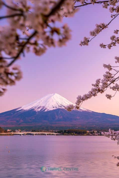 Lake Kawaguchiko, Stunning Nature, Dark Nature Aesthetic, Japan Aesthetic, Mt Fuji, Wild Nature, Kyoto Japan, Beautiful Scenery Nature, Beautiful Nature Scenes