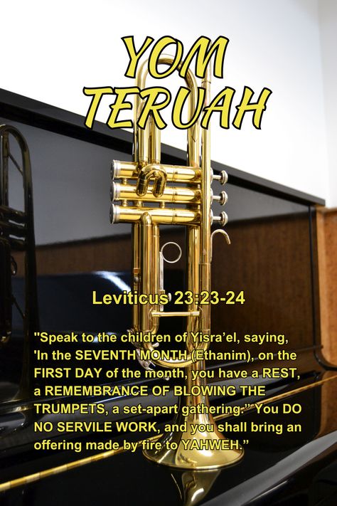 Leviticus 23 feasts of YAHWEH Leviticus 23, Yom Teruah, Shabbat Shalom, Set Apart, Torah, Youtube Channel, Bring It On, For Women