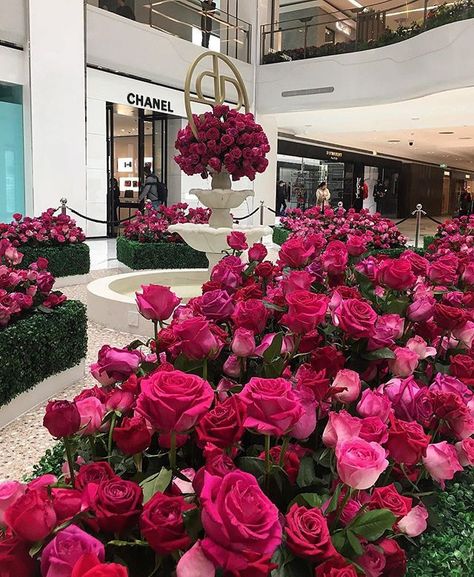 Million Roses, Luxury Flowers, Luxury Fragrance, Coco Chanel, Beautiful Roses, Pretty Flowers, A Flower, Flower Power, Beautiful Flowers