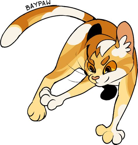 Warrior Cats Apprentice, Warrior Cat Designs, Warrior Cats Books, Warrior Cats Fan Art, Warrior Cat Drawings, Warrior Cat Oc, Love Warriors, Cat Oc, Warrior Cats Art