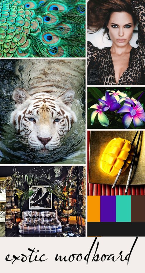 Mood Board Animals, Animation Help, Colour Pallettes, In A Mood, Architecture Quotes, Travel Humor, Mood Board Design, Inspiration Wall, Aesthetic Collage