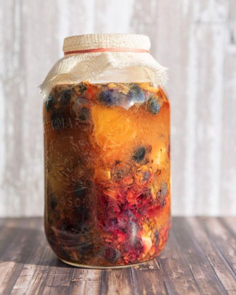 How To Make A Digestive Shrub (Drinking Vinegar) Shrub Recipe Drinking Vinegar, Fermented Drinks Recipes, Homemade Antibiotics How To Make, Kombucha Vinegar, Shrub Drink, How To Make Vinegar, Fruit Shrub, Shrub Recipe, Vinegar Drinks