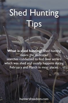 Hunting Hacks, Shed Hunting, Antler Hunting, Compound Bows, Whitetail Deer Hunting, Deer Hunting Tips, Quail Hunting, Hunting Supplies, Camping 101