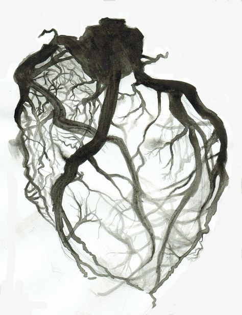 Open Heart Art, Head Vs Heart Art, Open Heart Drawing, Heart Organ Art, Chf Tattoos, Human Heart Art Aesthetic, Ripped Out Heart, Heart Veins, Heart Vessels