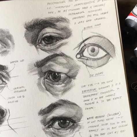 8,077 likes, 66 comments - beao.art on August 16, 2021: "Random studies Graphite on paper You know it’s eye studies season when you don’t have any i..." Eye Studies, Eye Study, Eye Anatomy, Life Update, Human Anatomy Art, Anatomy Study, What To Draw, Medical Art, Anatomy Drawing