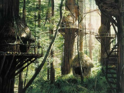 A Treehouse Thread - Singletrack Magazine Forum Northern California Road Trip, Star Wars Planets, Forest Moon, Ralph Mcquarrie, Redwood National Park, Between Two Worlds, Star Wars Trilogy, California Travel Road Trips, Tall Trees