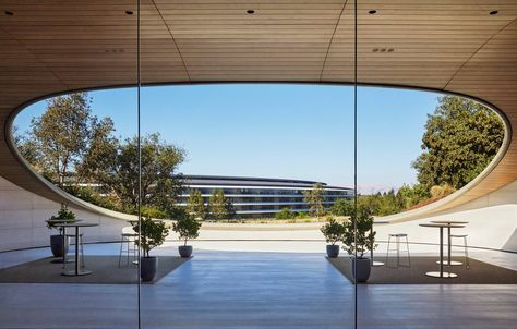 Exclusive photos reveal Apple's subterranean Apple Park Observatory Drought Resistant Trees, Honeymoon House, Real Haunted Houses, Apple Park, One Step Beyond, Japandi Living, Foster Partners, Large Window, Wallpaper Magazine