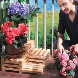 Show off your gardening skills with this simple multi-level plant stand. It's easy to build from seven 8-ft.-long 1x2s. Tiered Plant Stand, Outdoor Plant Stands, Planter Box Plans, Outdoor Woodworking Projects, Walnut Timber, Craftsman Furniture, Wooden Planter Boxes, Diy Plant Stand, Outdoor Plant