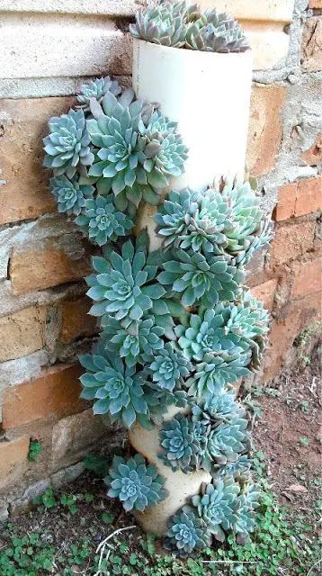 Aesthetic Crazy, Pipe Flower, Small Flower Gardens, Large Outdoor Planters, Vertical Garden Design, Vertical Vegetable Garden, Vertical Garden Diy, Free Aesthetic, Vertical Gardens