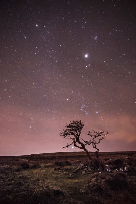 Dartmoor National Park, England Southwest Gothic, Cer Nocturn, Cowboy Song, Stars And Constellations, Dartmoor National Park, Night Sky Photography, Lone Tree, Sky Full Of Stars, Amazing Images