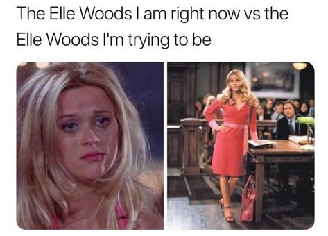 Law School Memes, Law School Humor, Law School Life, Law School Inspiration, Elle Woods, Legally Blonde, School Memes, Fresh Memes, Color Rainbow