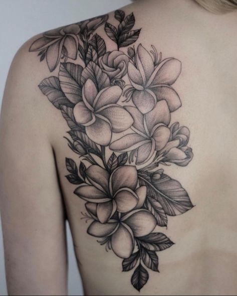 For my sister Plumeria Flower Tattoos, Frangipani Tattoo, Tropical Flower Tattoos, Linework Art, Hawaiian Flower Tattoos, Plumeria Tattoo, Flower Shoulder Tattoo, Like Tattoos, Engraving Tattoo