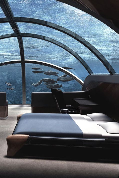 Poseidon Undersea Resort, Fiji Hotels, Underwater Hotel, Fiji Resort, Sea Resort, 1 August, Unique Hotels, Millionaire Lifestyle, Hotel Design