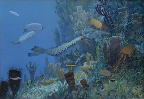 Cambrian Marine Freshwater Sharks, Paleozoic Era, Prehistoric Planet, Earth History, Walking With Dinosaurs, Prehistoric World, Ancient Animals, Prehistoric Art, Paleo Art