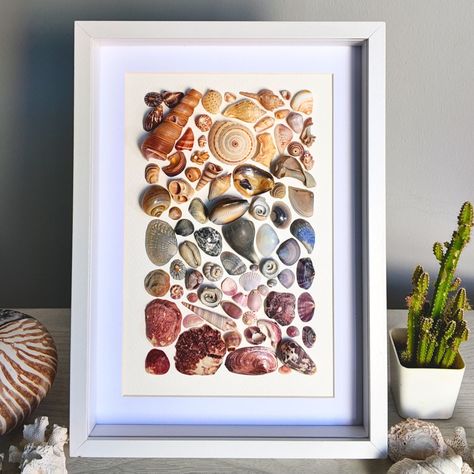 Beautiful colorful seashells ready to hang. Beautiful artwork ready to hang or display or use it as a special gift, to show that your heart is full of a soul that loves nature. Created from beautiful and rare seashells that I personally selected in Phuket, Thailand. Framed in a deep white frame, size 22.8 cm x 31.5 cm x 4.4 cm, vertical, showing details as a 3D image. Can be used hanging or standing. The front is made of plastic and can be removed to show the details of the artwork’s deta... Sea Shell Shadow Box Art, Seashell Collection Display Ideas, Sea Shell Shadow Box, Shell Decor Ideas, Shell Wall Decor, Shadow Box Kunst, Seashell Shadow Boxes, Colorful Seashells, Seashell Display