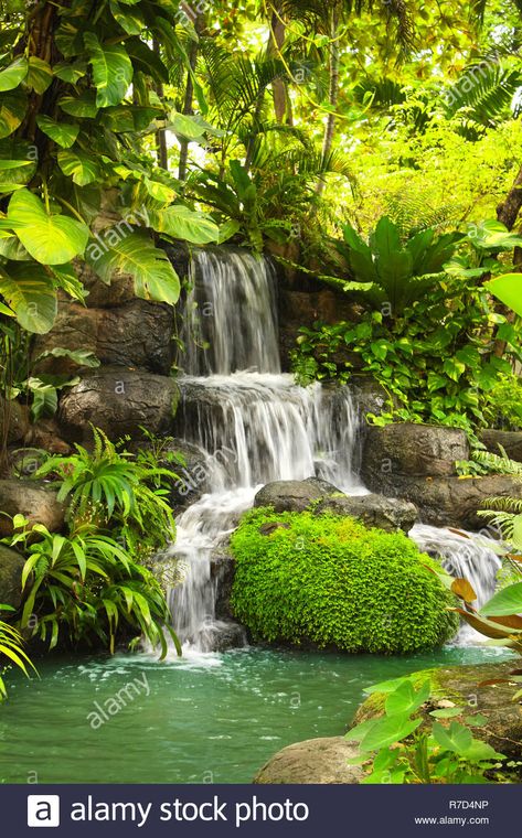 Waterfall in decorative tropical garden, Thailand Stock Photo Tropical Water Feature, Tropical Waterfall Painting, Sungai Aesthetic, Thailand Garden, Waterfall Tropical, Garden Waterfall Ideas, Waterfall Decoration, Tropical Waterfall, Waterfall Garden