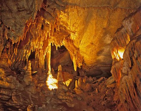 Camping Kentucky, Mammoth Cave Kentucky, Mammoth Cave National Park, Mammoth Cave, Most Beautiful Images, National Park Posters, Us National Parks, Camping Equipment, Beautiful Places To Visit