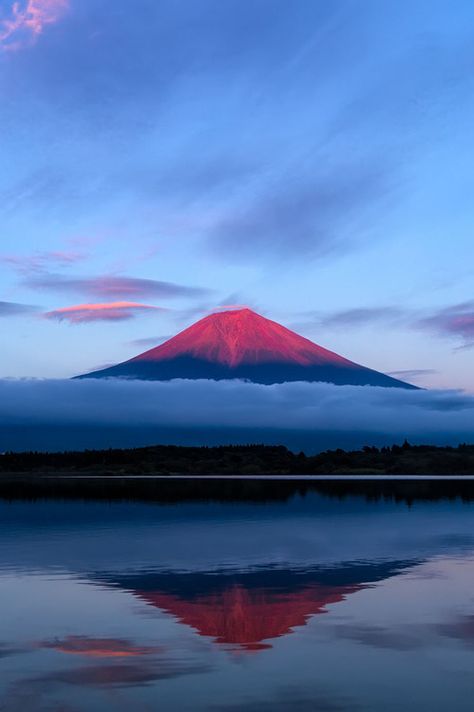 Mt Fuji, Japan. Source: hiromitsu Fuji Mountain, Monte Fuji, Mont Fuji, Mt Fuji, Shizuoka, Mount Fuji, The Clouds, Japan Travel, Amazing Nature