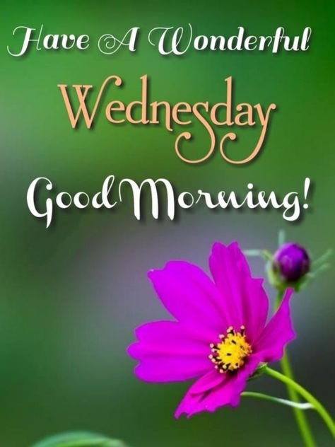 7 Happy Wednesday WhatsApp Messages, Good Morning Greetings, Images With Flowers Gm Wednesday, Wednesday Morning Greetings, Happy Wednesday Images, Wednesday Greetings, Morning Massage, Good Morning Monday Images, Wednesday Blessings, Morning Wednesday, Daily Wishes