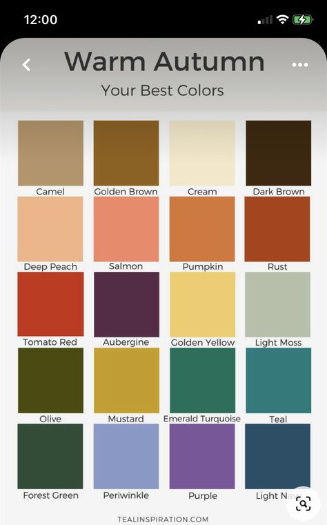 Dyt Type 3, Color Seasons, Colour Combinations Fashion, Warm Autumn, Colour Combinations, Golden Yellow, Light Yellow, Color Chart, Light Purple