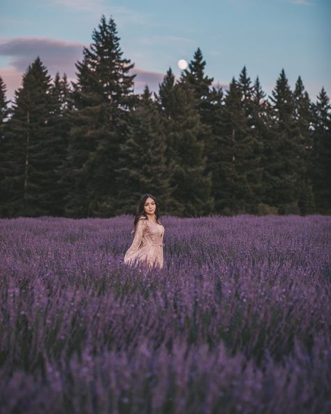 Lilac Field Photography, Wild Lavender Field, Pictures In Lavender Fields, Lavender Feild Pic, Senior Picture Ideas Lavender Field, Lavender Senior Pictures, Person In Field, Lavender Field Senior Pictures, Lavender Farm Photoshoot