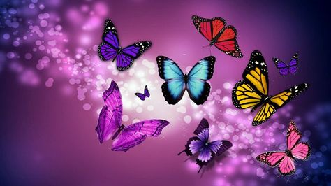 Pink Pixie Dust | PC Purple Wallpaper | Pinterest 3d Parallax Wallpaper, Wallpaper Waves, Wallpaper Butterfly, Creative Butterfly, Purple Butterfly Wallpaper, Kristina Webb, Sublimacion Ideas, Blue Butterfly Wallpaper, Butterfly Artwork