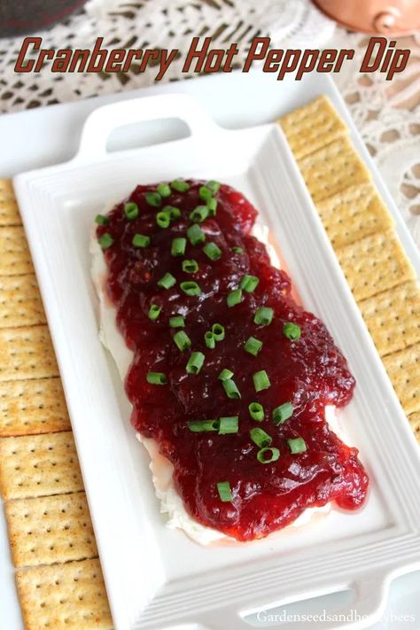 Cranberry Hot Pepper Dip - Garden Seeds and Honey Bees Hot Pepper Dip, Whipped Feta Cheese, Buckeye Balls Recipe, Feta Cheese Dip, Salty Side Dish, Cranberry Dip, Best Thanksgiving Appetizers, Fresh Cranberry Sauce, Cranberry Thanksgiving