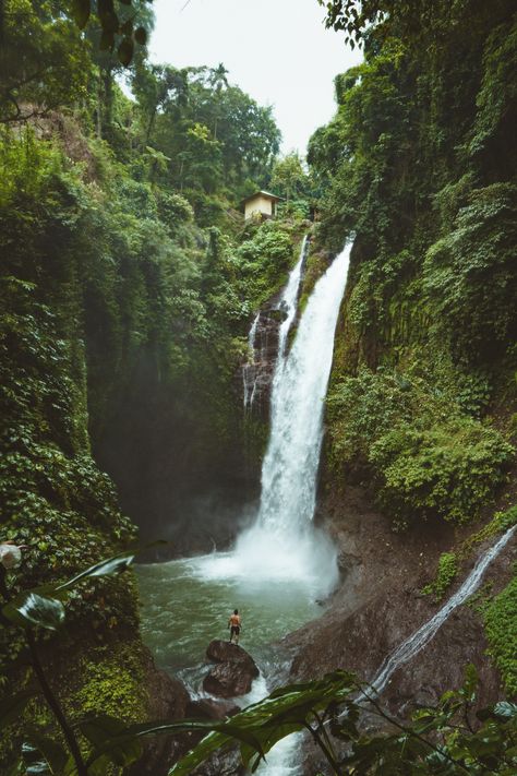 The utlimate guide to Bali, Indonesia #Bali #Indoesia #SoutheastAsia Bali Waterfalls, Bali Itinerary, Voyage Bali, Bali Travel Guide, Secret Places, Beautiful Waterfalls, Bali Travel, Ubud, Travel Aesthetic