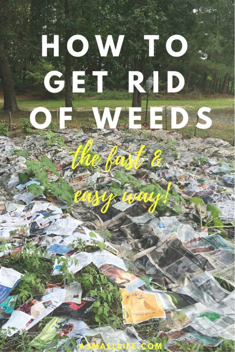 How to Get Rid of Weeds: The Fast and Easy Way! Best Way To Get Rid Of Weeds, How To Stop Weeds From Growing, How To Get Rid Of Weeds In Garden, Pulling Weeds Hack, How To Get Rid Of Weeds, How To Get Rid Of Weeds In Flower Beds, How To Keep Weeds Out Of Flower Beds, How To Get Rid Of Weeds In Rocks, Greenhouse With Old Windows