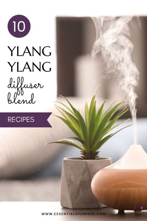 If you're looking for a way to relax after a long day, try using ylang ylang essential oil in your diffuser. These 10 blends are perfect for helping you unwind and de-stress. Give them a try! Oil Free Recipes, Essential Oils Diffuser Blends, Essential Oils For Pain, Oils For Sleep, Essential Oils For Sleep, Essential Oils Diffuser, Ylang Ylang Essential Oil, Oil Diffuser Recipes, Essential Oils For Skin