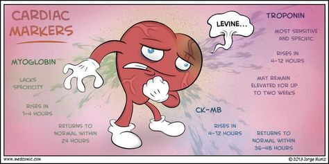 Cardiac Markers, Med Surge, Cardiovascular Nursing, Nursing Labs, Pt School, Cardiology Nursing, Paramedic School, Nursing Fun, Nursing Information