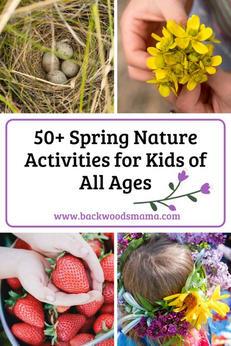 50+ Spring Nature Activities for Kids of All Ages – Backwoods Mama Nature Group Activities, Spring Activities For School Age Kids, Spring Equinox Activities For Kids, Spring Nature Activities For Kids, Spring Nature Activities, School Age Nature Activities, Spring Equinox Activities, Spring Forest School Activities, Waldorf Spring Activities