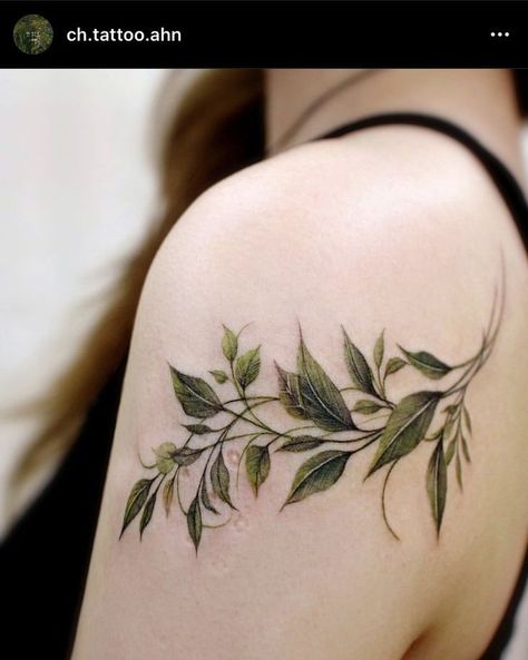 Tattoos On Side Ribs, Green Tattoos, Rib Tattoos For Women, Vine Tattoos, Plant Tattoo, Geniale Tattoos, Botanical Tattoo, 문신 디자인, Elegant Tattoos