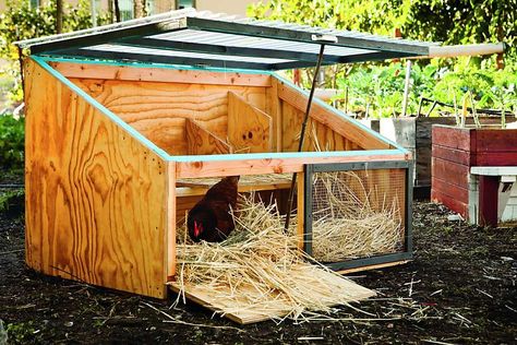 The Icebox. Excerpted from "Reinventing the Chicken Coop" by Kevin McElroy and Matthew Wolpe. Photography Erin Kunkel. Used with permission of Storey Publishing. Photo: Erin Kunkel, Storey Publishing Chicken Coop For 4 Chickens, Easy Diy Chicken Coop, Small Chicken Coops, Easy Chicken Coop, Diy Chicken Coop Plans, Chicken Tractor, Coop Design, Chicken Crafts, Coops Diy