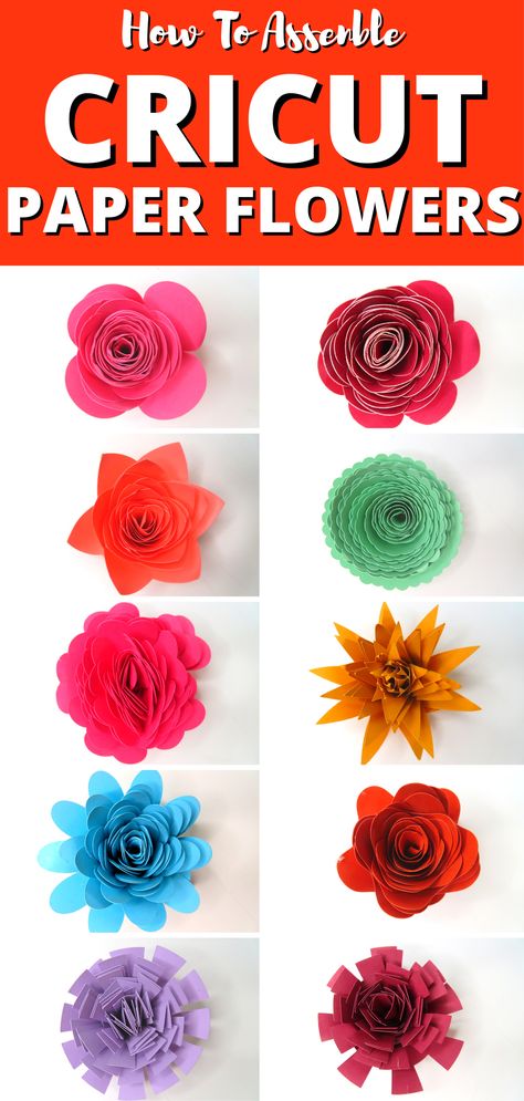 Rolled Paper Flowers Diy, Cardstock Flowers Diy, Card Stock Flower, Rolled Paper Flowers Template Free, Cricket Paper Flowers, Cricut 3d Flowers, Cardstock Crafts Diy, Cricut Paper Flowers, Rolled Flowers Svg Free