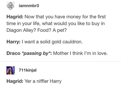 Harry Potter Fan Theories, Funny Harry Potter Jokes, Harry Potter Memes Hilarious, Gay Harry Potter, Takes A Village, Harry Potter Feels, Yer A Wizard Harry, Fan Theories, Harry Potter Comics