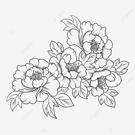 Line Drawing Peony, Drawing Peony, Peony Drawing, Flower Line Art, Gubahan Bunga, Black And White Birds, Flower Line Drawings, Flower Outline, Drawing Clipart