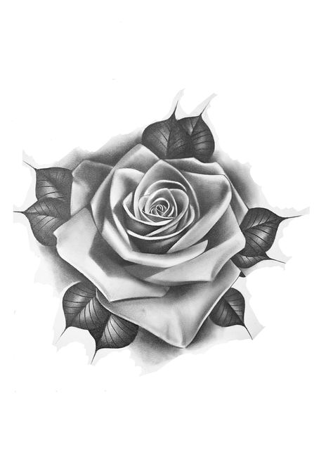 Rose Tattoo Design Realistic, Rose Drawing Tattoo Realistic, Rose Tattoo Design For Men, Rose Design Tattoo, Roses Reference, Rose Tattoo Stencil, Realistic Rose Tattoo, Rose Flower Tattoos, Rose Drawing Tattoo