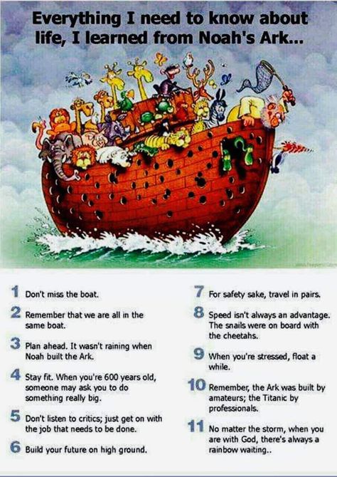 Noah Quotes Bible, Noahs Ark Vbs, Noahs Ark Activities, Noah Building The Ark, Stories With Moral Lessons, Animal Rescue Center, Life Map, Catholic Bible, Noah S Ark