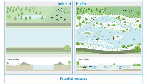 Stream Restoration Design, River System Diagram, River Restoration, River Front Development, River Section Architecture, River Pollution, North Rhine Westphalia, Urban Landscape Design, River Bed