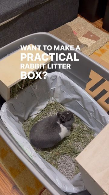 Diy Bunny Litter Box House Rabbit, Bunny Habitat Indoor Diy, Diy Bunny Enclosure, Diy Digging Box For Bunny, Rabbit Litter Box Ideas Hay Feeder, Litter Box For Rabbits, Diy Bunny Litter Tray, Diy Rabbit Litter Box And Hay Feeder, Hay Storage Ideas Bunny