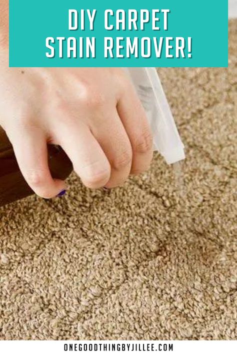 When spills and splatters happen on your carpet, time is of the essence! Be prepared by mixing up this simple carpet stain remover spray. Homemade Carpet Stain Remover, Diy Carpet Stain Remover, Carpet Stain Remover, Borax Cleaning, Cleaning Your Dishwasher, Remove Pet Stains, Stain Remover Spray, Time Is Of The Essence, Clean Carpet