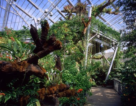 Kids in CLE: Spring Break | Cleveland, OH | This Is Cleveland Cleveland Botanical Garden, Powell Gardens, Spring Break Camping, Chicago Botanic Garden, Scenic Railroads, Missouri Botanical Garden, Arbour Day, English Cottage Garden, Public Garden