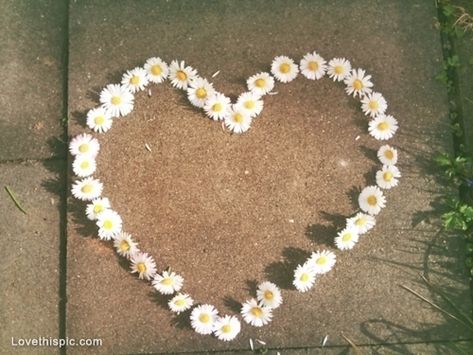 Heart made of daisies Daisy Heart, Tumblr Quality, Mother Love, Daisy Love, Ghost Hunters, No Rain, The Fault In Our Stars, Soft Grunge, Amazing Quotes